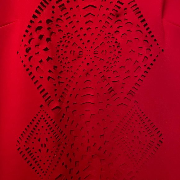 Vivid Red Cut Out Detail Dress - Picture 3 of 4